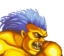 Blanka image